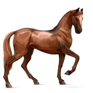 caballo de montar pura raza española bayo cereza