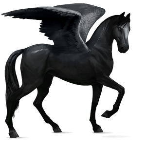 pegaso de montar negro