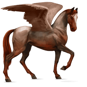 pegaso de montar kwpn bayo