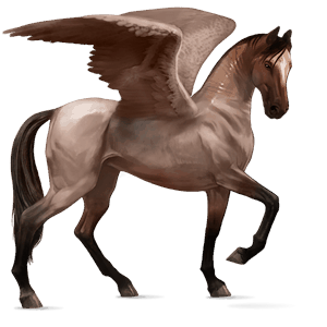 pegaso de montar akhal-teke roano