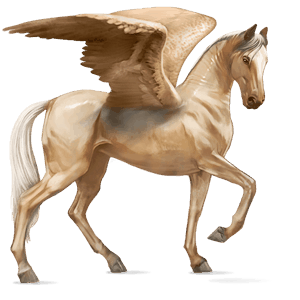 pegaso de montar gypsy vanner palomino