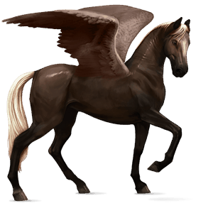 pegaso de montar negro