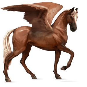 pegaso de montar akhal-teke bayo cereza