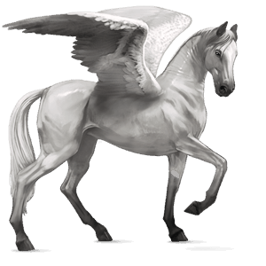 pegaso de montar pura raza española gris claro