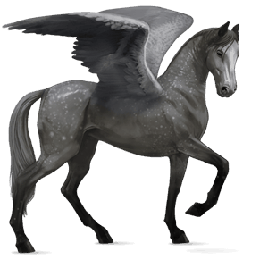 pegaso de montar tennessee walker gris tordo