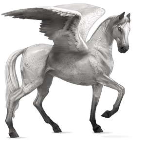 pegaso de montar pura raza española negro