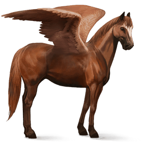 pegaso de montar trotón francés bayo cereza