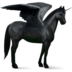 unicornio de montar alado cuarto de milla negro