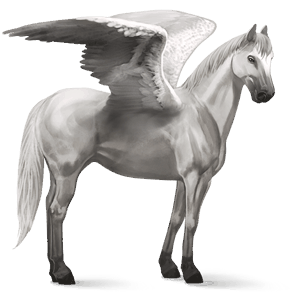 pegaso de montar peruano de paso gris ratón