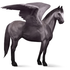 pegaso de montar cuarto de milla gris ratón