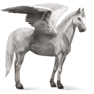 pegaso de montar gris trucha