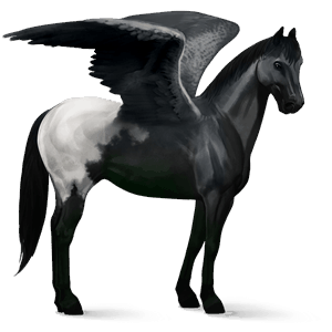 pegaso de montar Árabe gris tordo