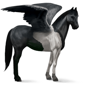 pegaso de montar lusitano bayo