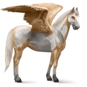 pegaso de montar rizado palomino