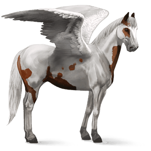 pegaso de montar lusitano isabelo