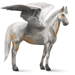 pegaso de montar peruano de paso cremello