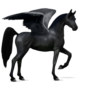 pegaso de montar shagya arabian alazán