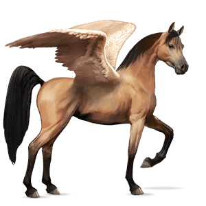 pegaso de montar Árabe isabelo