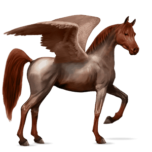 pegaso de montar overo