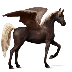 pegaso de montar Árabe bayo