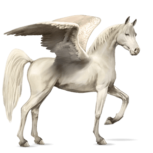 pegaso de montar Árabe gris trucha