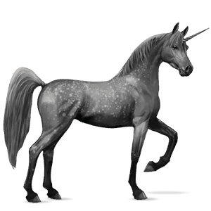 unicornio de montar shagya arabian gris tordo