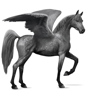 pegaso de montar gris tordo