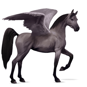 pegaso de montar Árabe gris ratón