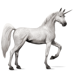 unicornio de montar Árabe gris trucha