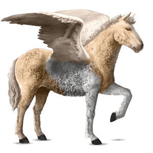 pegaso de montar rizado pío tobiano palomino