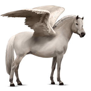 poni pegaso poni de silla belga negro