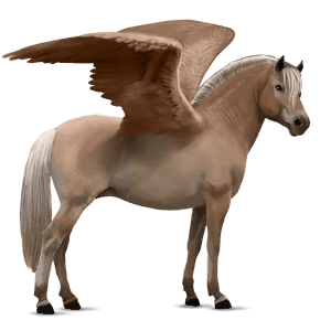 poni pegaso haflinger palomino