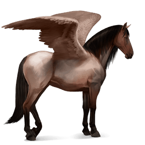 pegaso de montar gris tordo