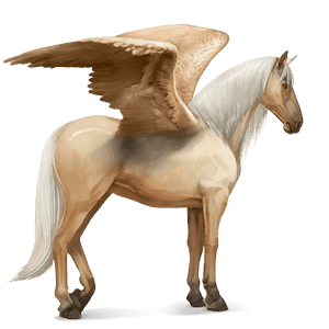 pegaso de montar palomino