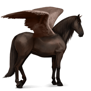 pegaso de montar gris tordo