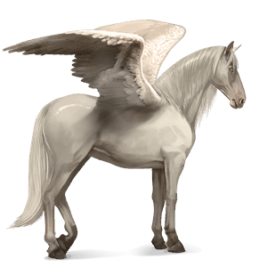 pegaso de montar pura raza española gris claro