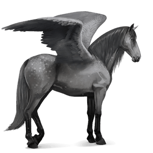 pegaso de montar pura raza española gris tordo