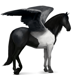 pegaso de montar lipizzan gris tordo