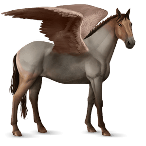 pegaso de montar lusitano gris tordo