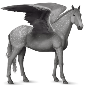 pegaso de montar marwary pío overo isabelo