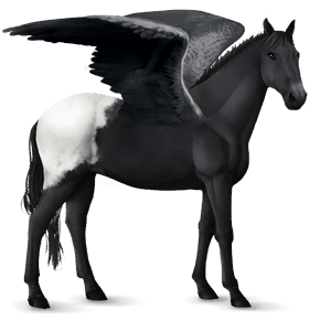 pegaso de montar negro