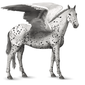 pegaso de montar camargue gris tordo