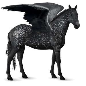 pegaso de montar negro