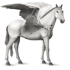 pegaso de montar cuarto de milla gris ratón