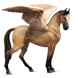 pegaso de montar marwary pío tobiano cremello