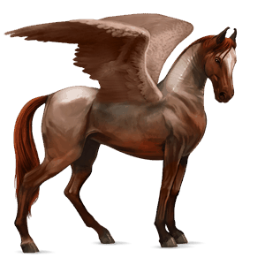 pegaso de montar marwary pío tobiano cremello