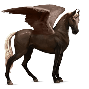 pegaso de montar marwary bayo tostado