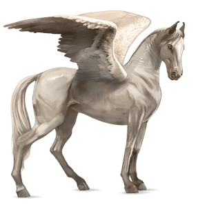 pegaso de montar marwary cremello