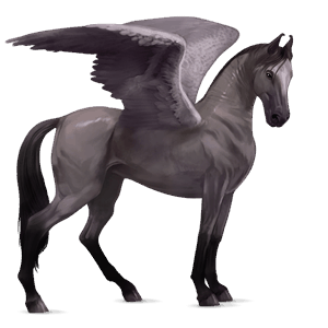 pegaso de montar cuarto de milla gris ratón