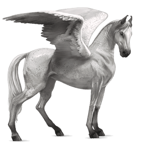 pegaso de montar marwary pío alazán overo